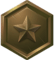 SAMT RANK Bronze